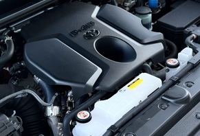 Toyota Land Cruiser 2022s
